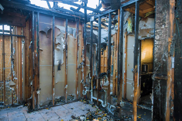 Professional Fire Damage Repair technician working in Salamatof, AK